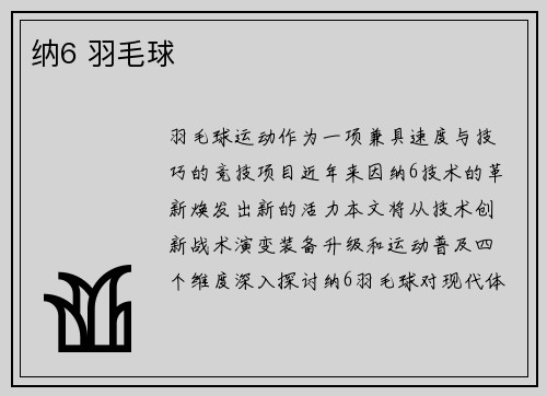 纳6 羽毛球