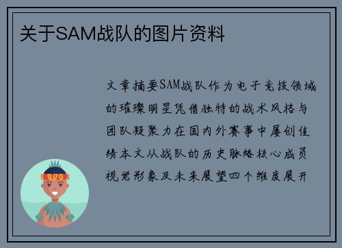 关于SAM战队的图片资料