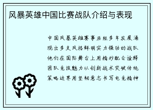 风暴英雄中国比赛战队介绍与表现